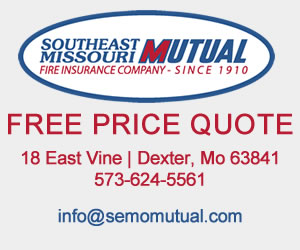 Semo Mutual website