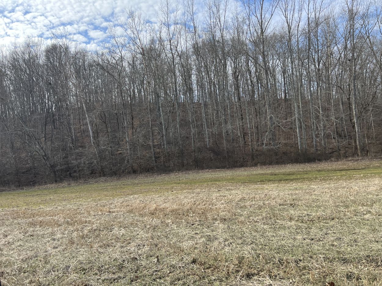 Alcorn Realty Lists County road 733/711, Zalma, MO 63787 481,500