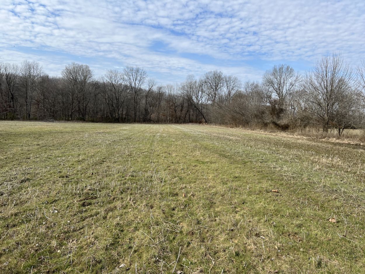 Alcorn Realty Lists County road 733/711, Zalma, MO 63787 481,500