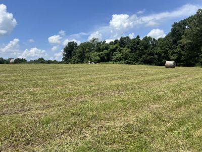 29400 County Road 343 details