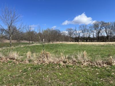 19667 County Road 514