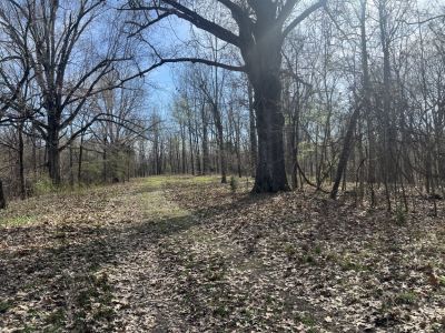 21798 State Highway AB