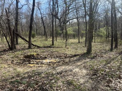 21798 State Highway AB