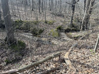 21798 State Highway AB