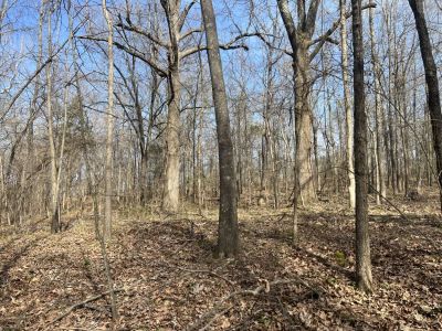 21798 State Highway AB