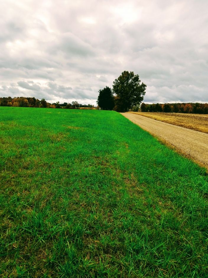County Road 265