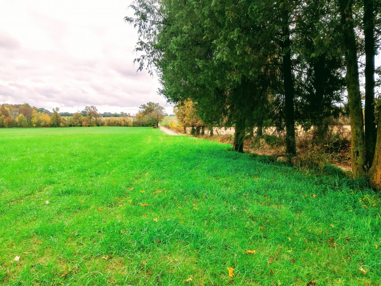 County Road 265