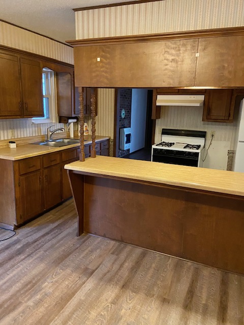 10843  Robin Lane