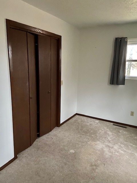 10843  Robin Lane