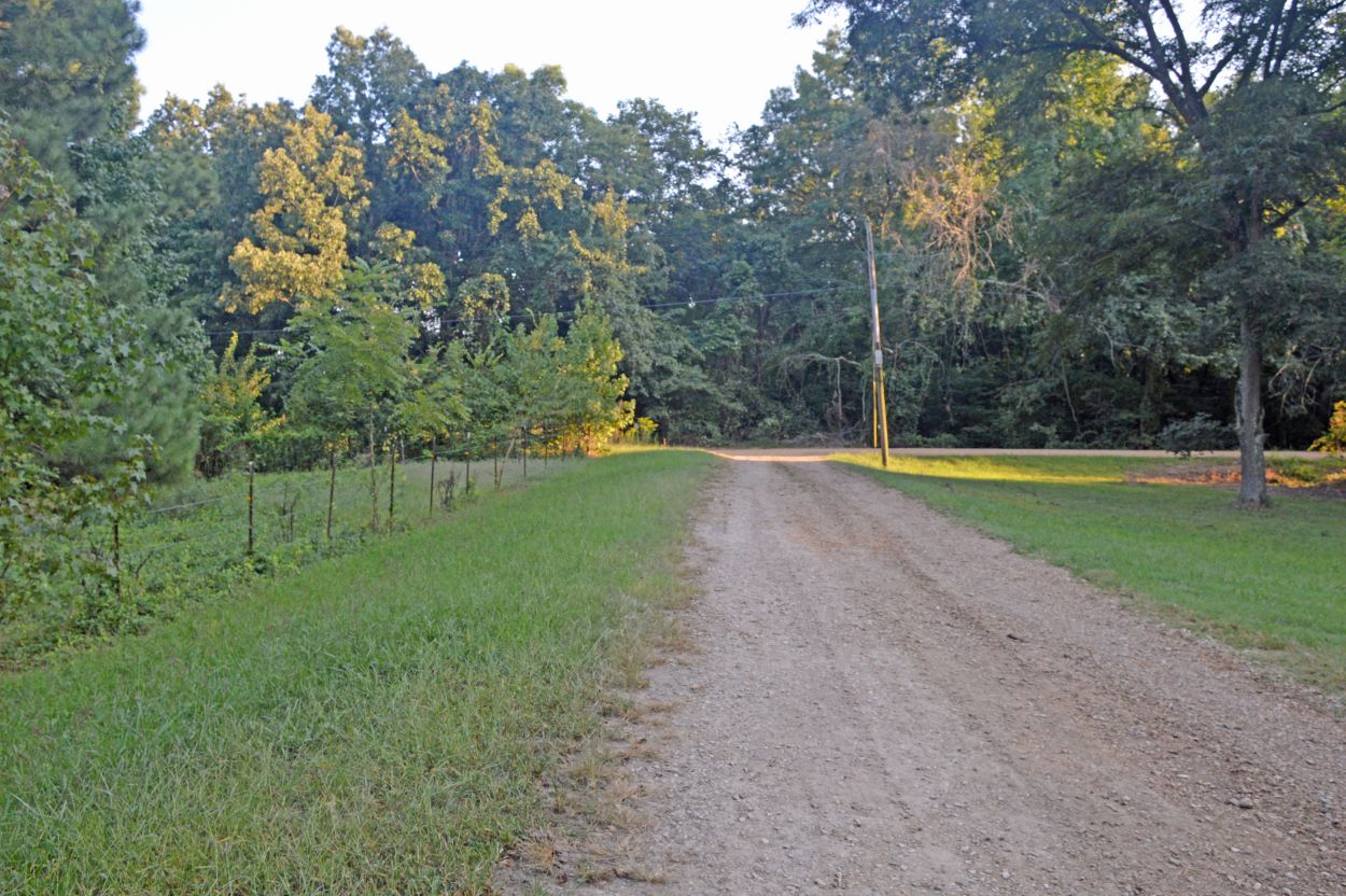 16985 Co Rd 533