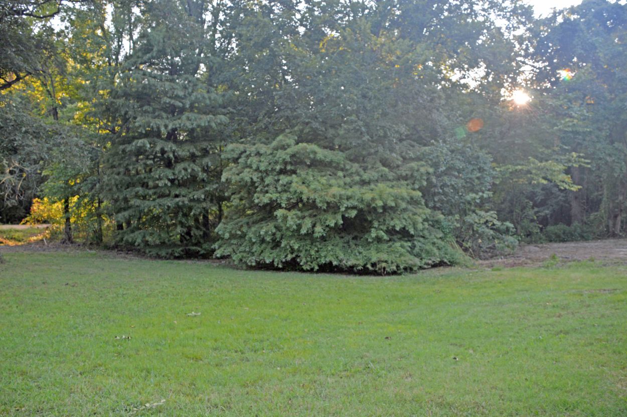 16985 Co Rd 533