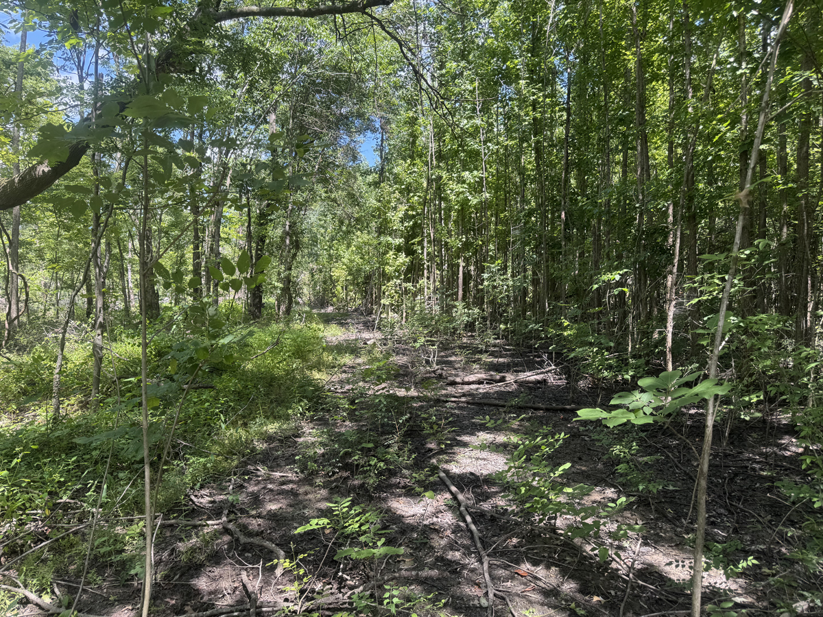 20 Acres M/L, CR-614