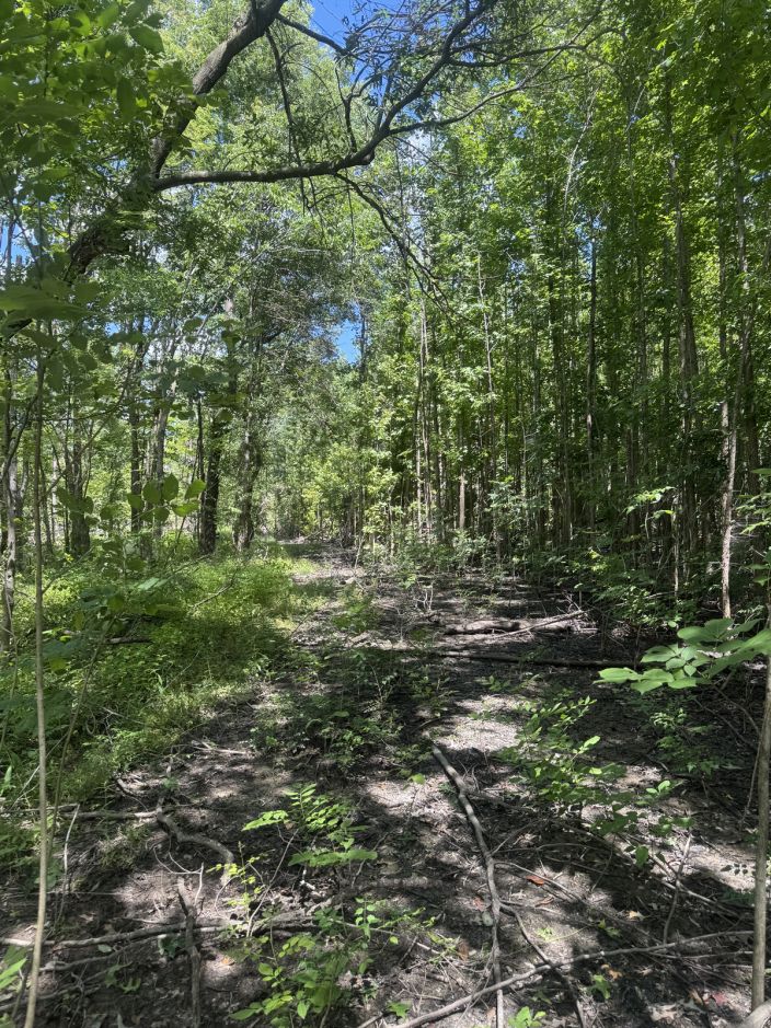 20 Acres M/L, CR-614