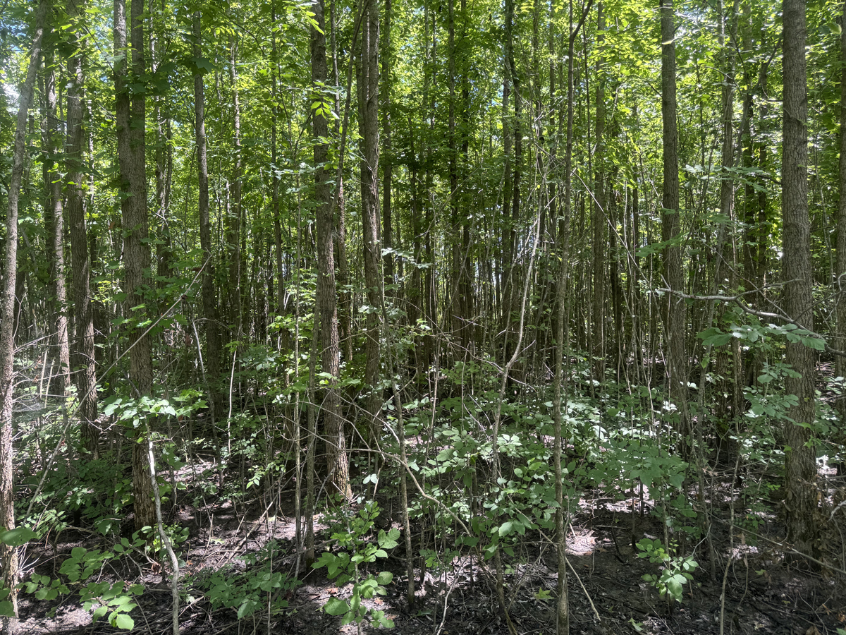 20 Acres M/L, CR-614