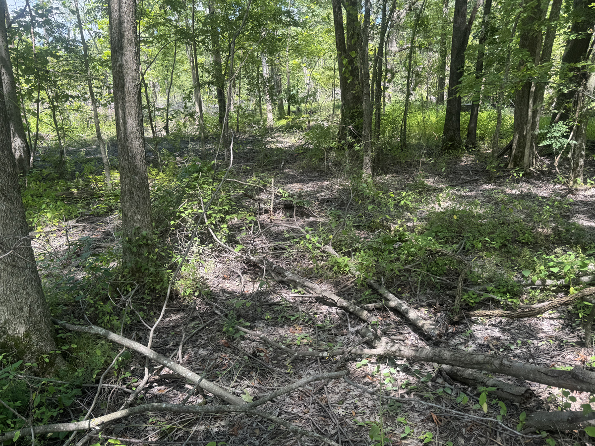 20 Acres M/L, CR-614