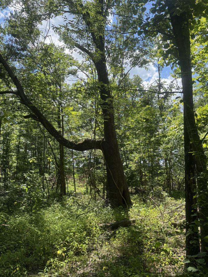20 Acres M/L, CR-614