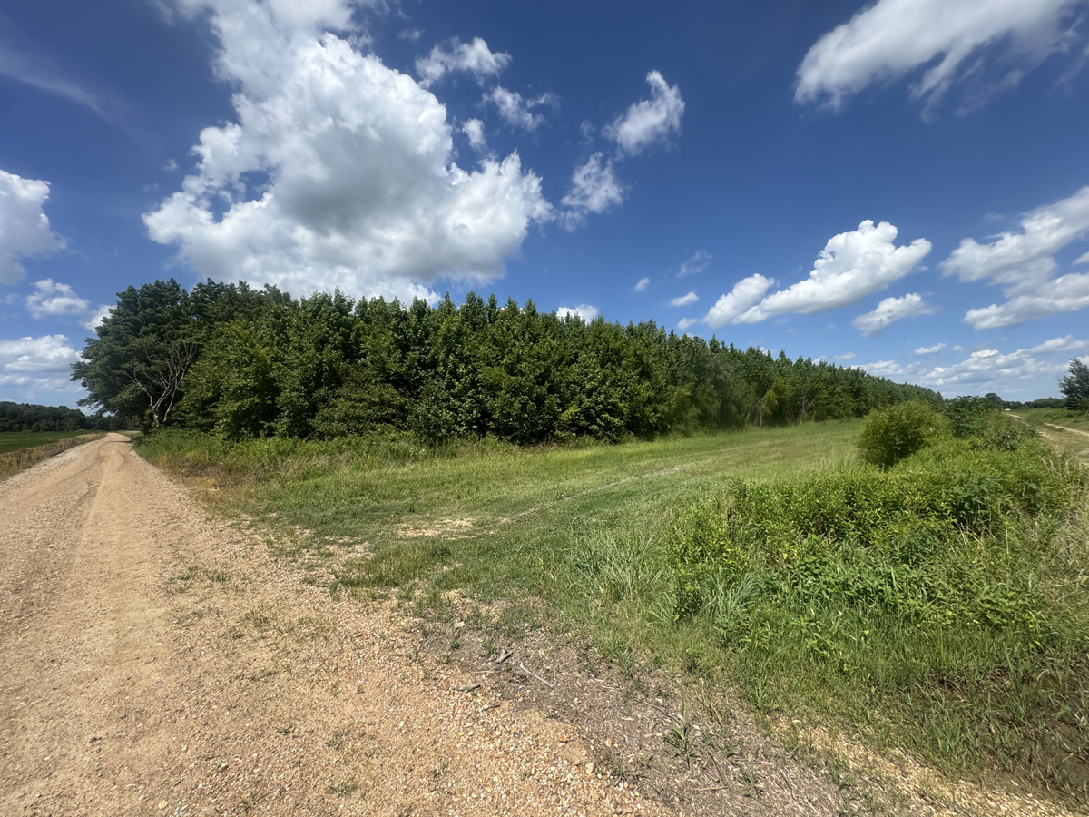 20 Acres M/L, CR-614