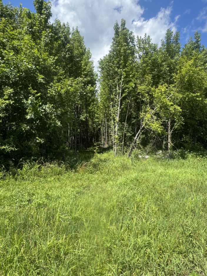 20 Acres M/L, CR-614