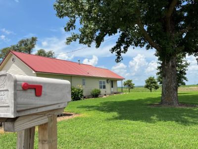 31934 County Road 339