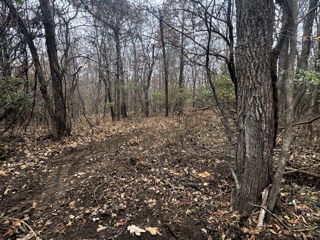 Tract 1 County Road 605