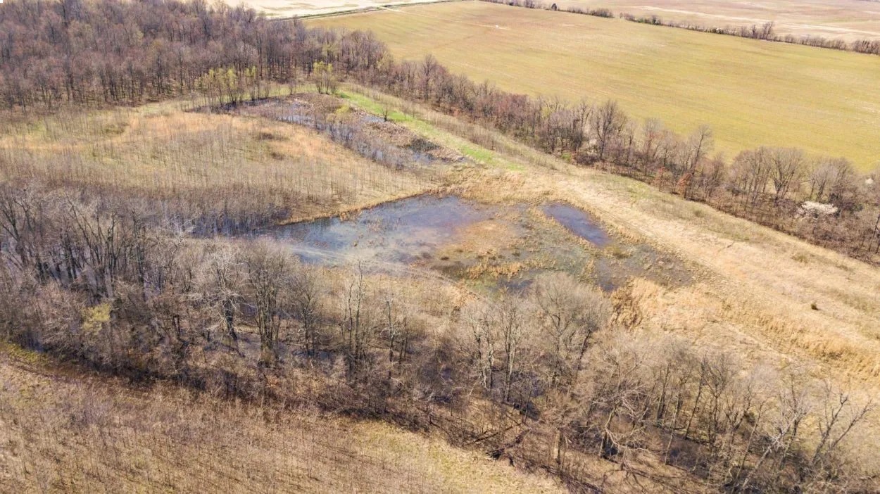 Highway 53 - Wetland acreage