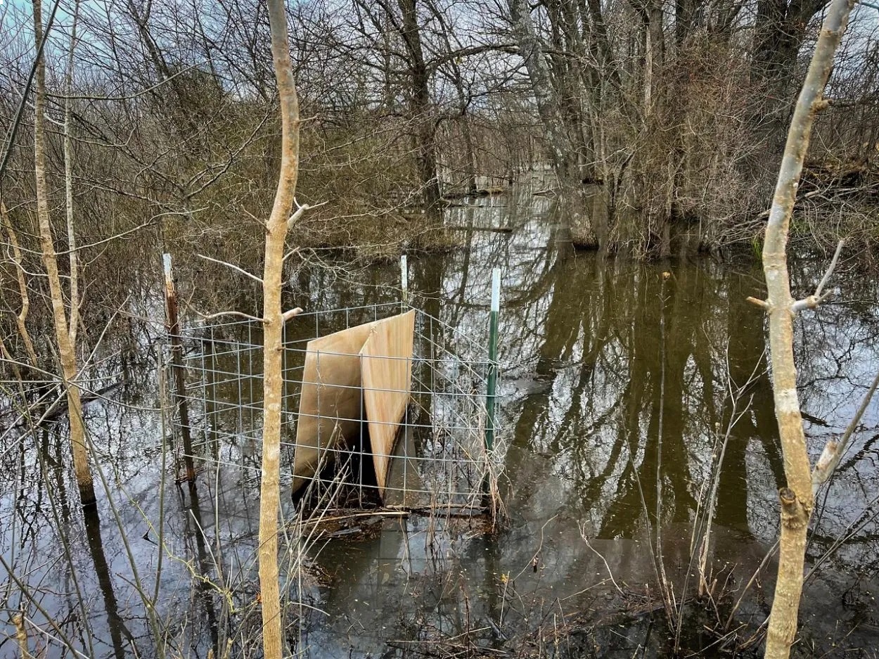 Highway 53 - Wetland acreage