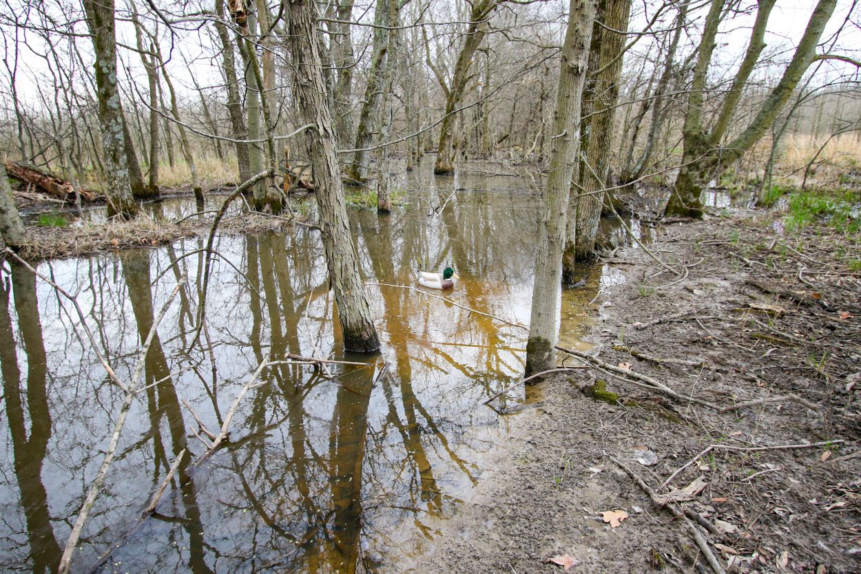 Highway 53 - Wetland acreage