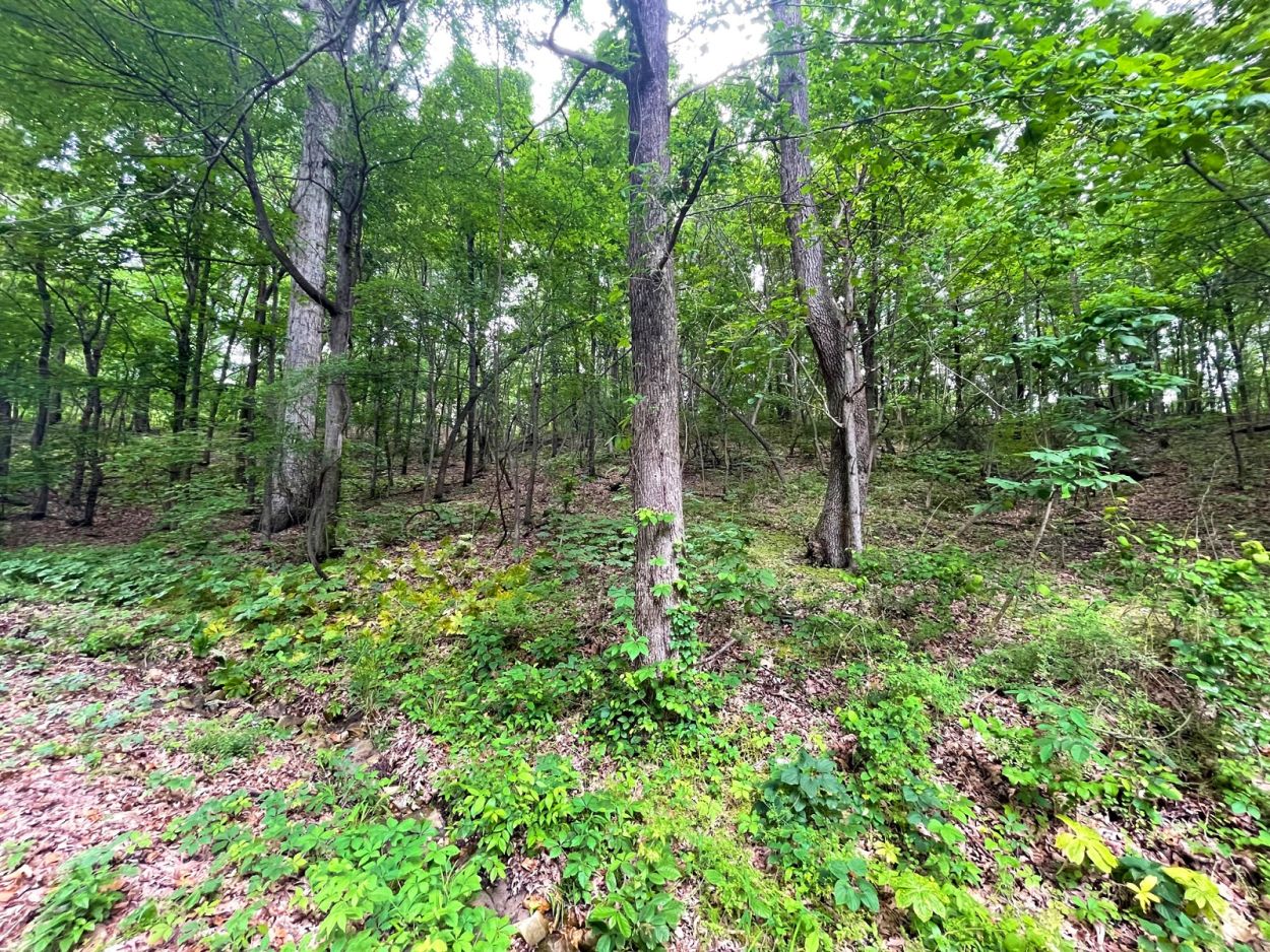 Chalk Bluff Trail